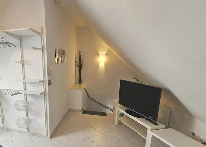 Solaris 53qm Netflix Glasfaser 76771 *